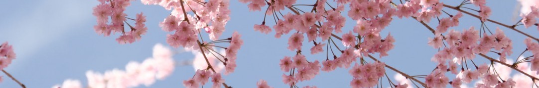 九州CT研究会　Kyushu CT Study Group